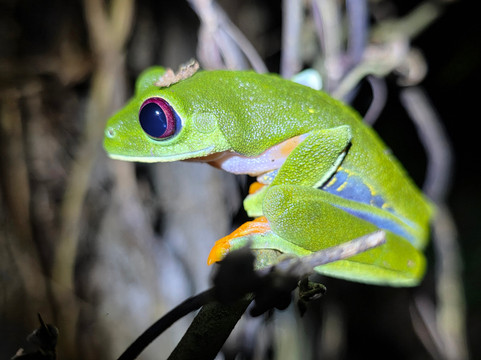 Tarantulas Way-卡维塔必去景点