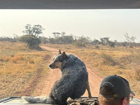 Marakele National Park-水堡必去景点