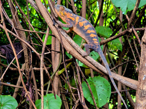 MadaDays-诺西贝必去景点