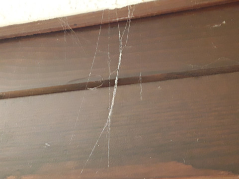 加莱康铂饭店主图