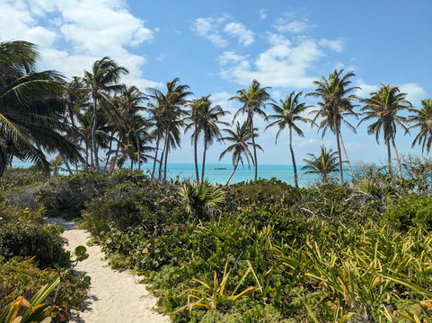 Isla Contoy National Park-Isla Contoy必去景点