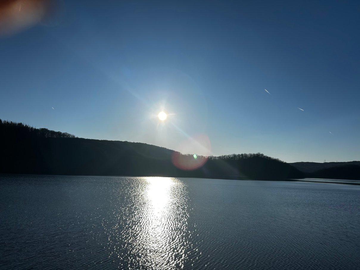 希尔霍夫酒店-官方