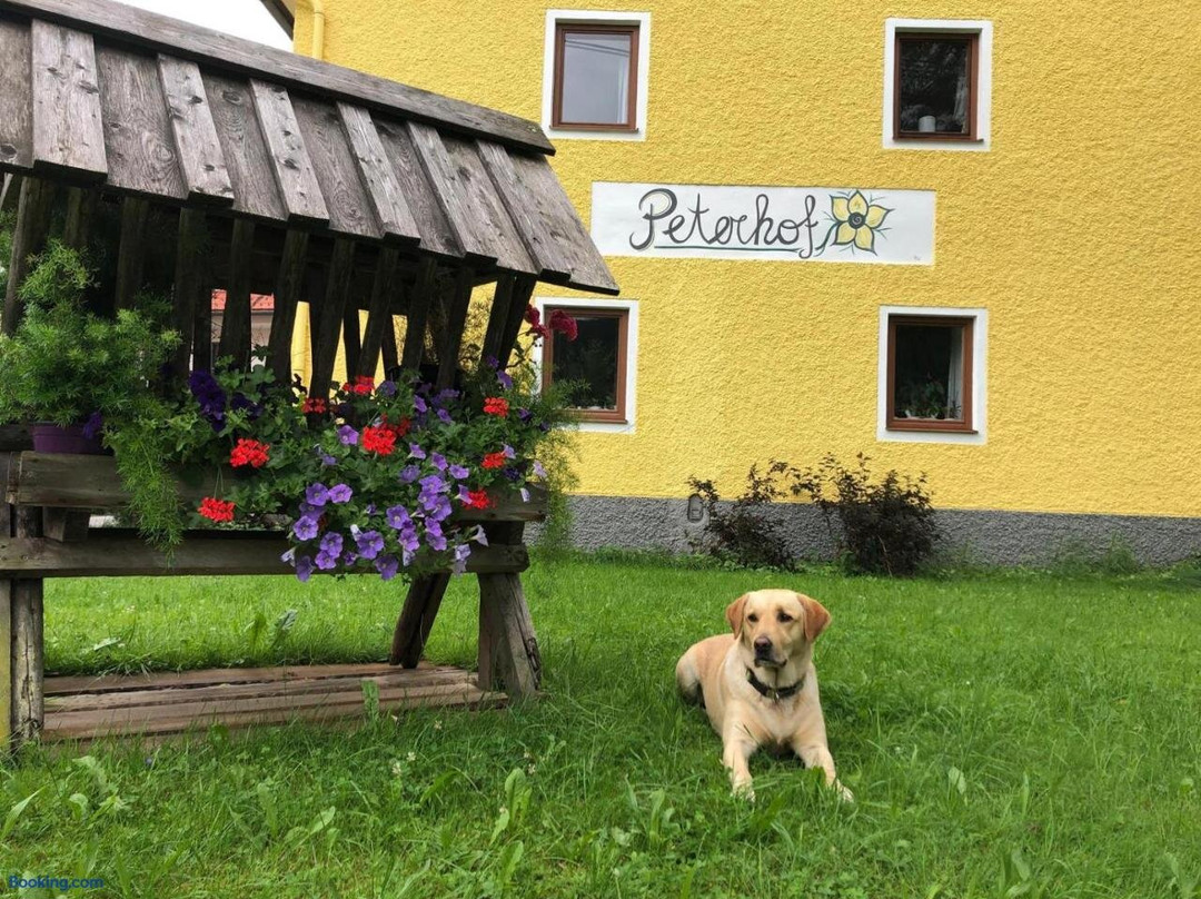 Peterhof - komm als Gast & geh als Freund