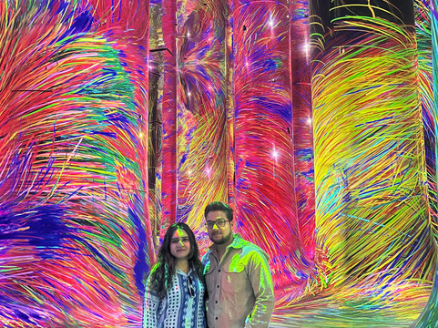 teamLab Phenomena Abu Dhabi-阿布扎比必去景点