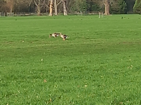 Frampton Court Estate-Frampton on Severn必去景点