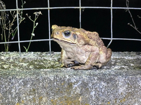 Santa Lucia Falls-乌维塔必去景点