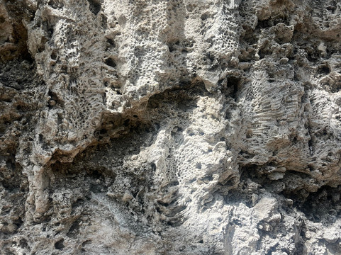 Windley Key-伊斯拉摩拉达必去景点