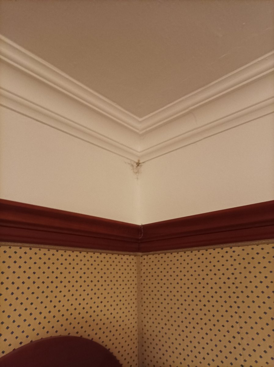 Hotel Fürstenhof-官方