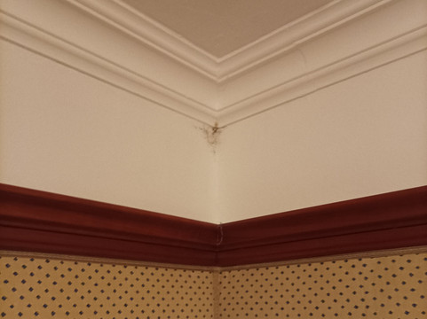 Hotel Fürstenhof主图