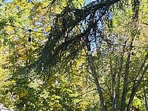 布莱斯布住宿加早餐旅馆主图