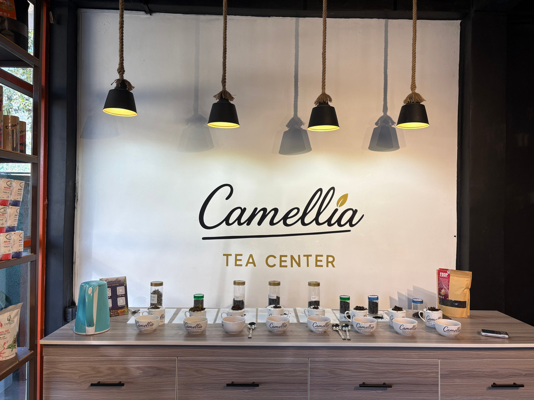 Camellia Tea Centre-Katukitula必去景点