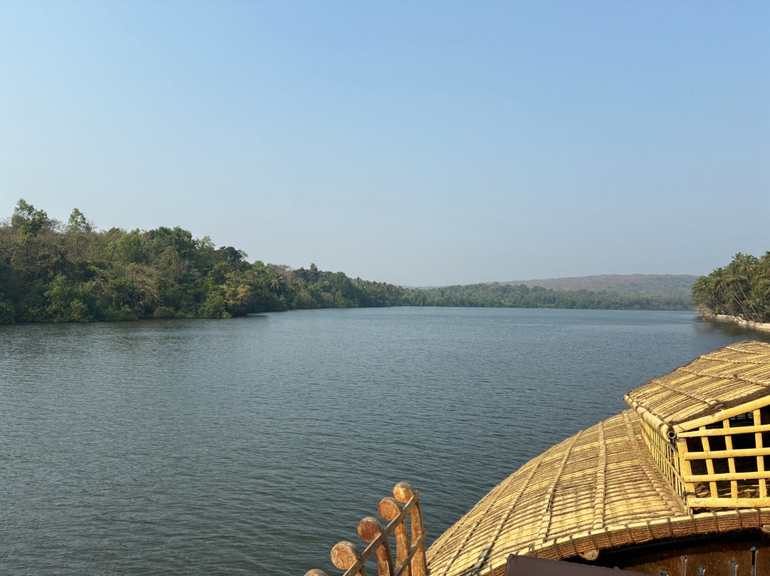 John's Boat Tours - Day Tours-坎多林必去景点