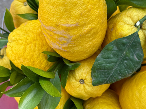 阿尔玛酒店主图