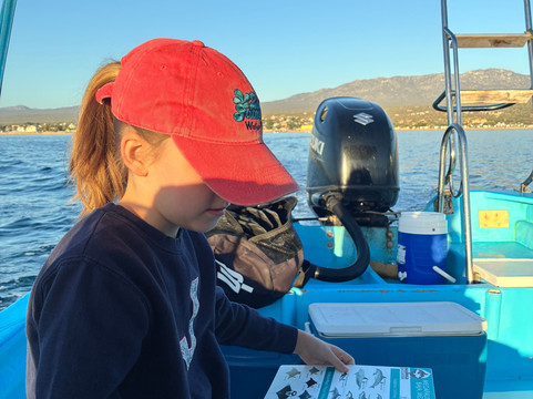 Baja Wild Encounters-La Ventana必去景点