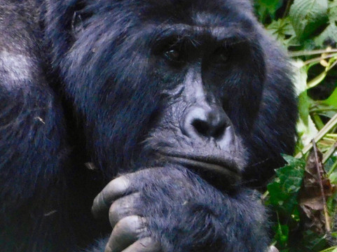 Epic Uganda Vacation-坎帕拉必去景点