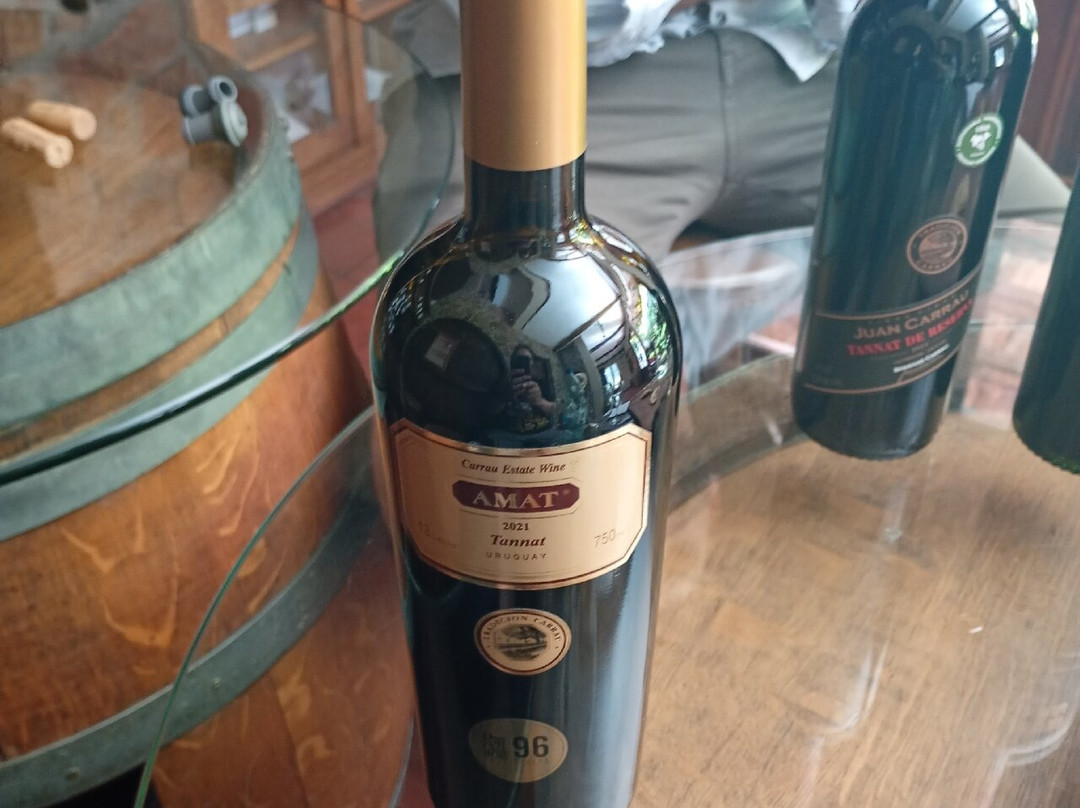 Bodegas Carrau-蒙得维的亚必去景点