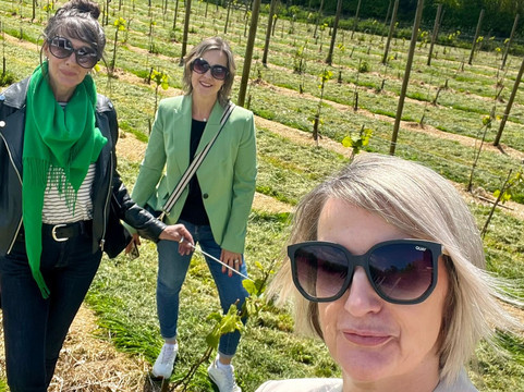 Quoit At Cross Vineyard