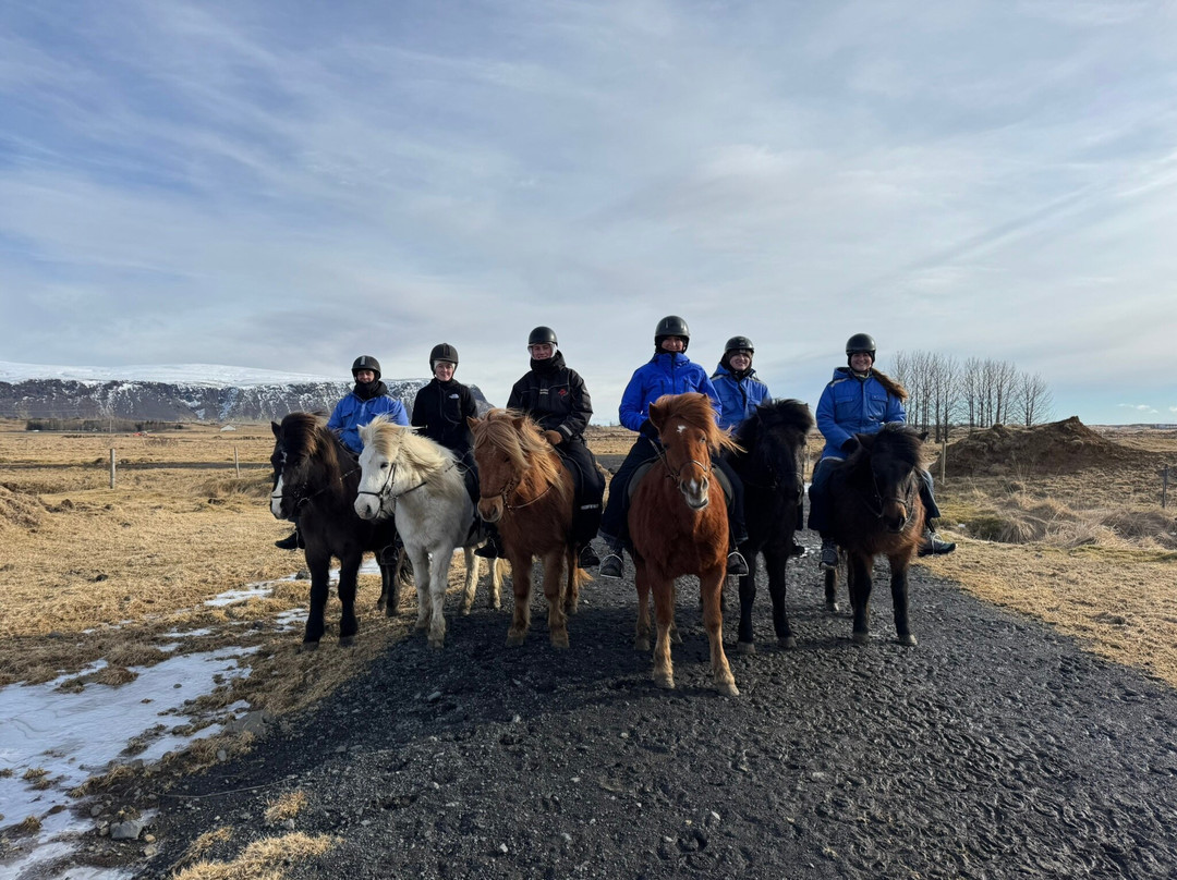 Eldhestar Volcano Horses-Olfus必去景点