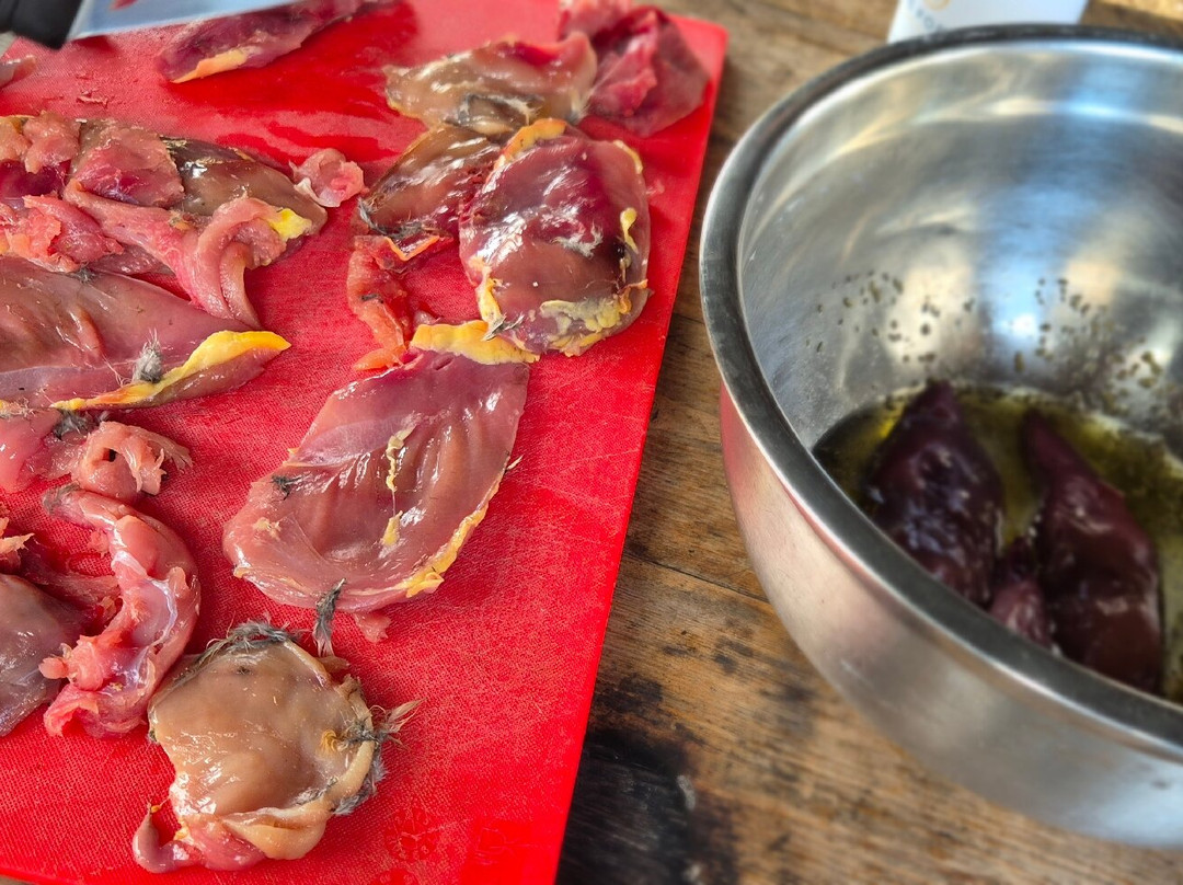 Wild Bushcraft Company-Corwen必去景点