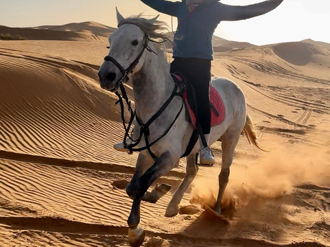 Merzouga Horse Riding-Hassilabied必去景点