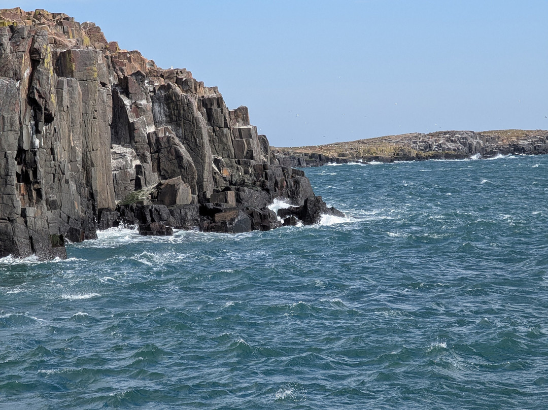 Billy Shiel's Boat Trips-Seahouses必去景点