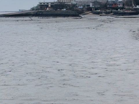 Ariakekai Tideland-鹿岛市必去景点