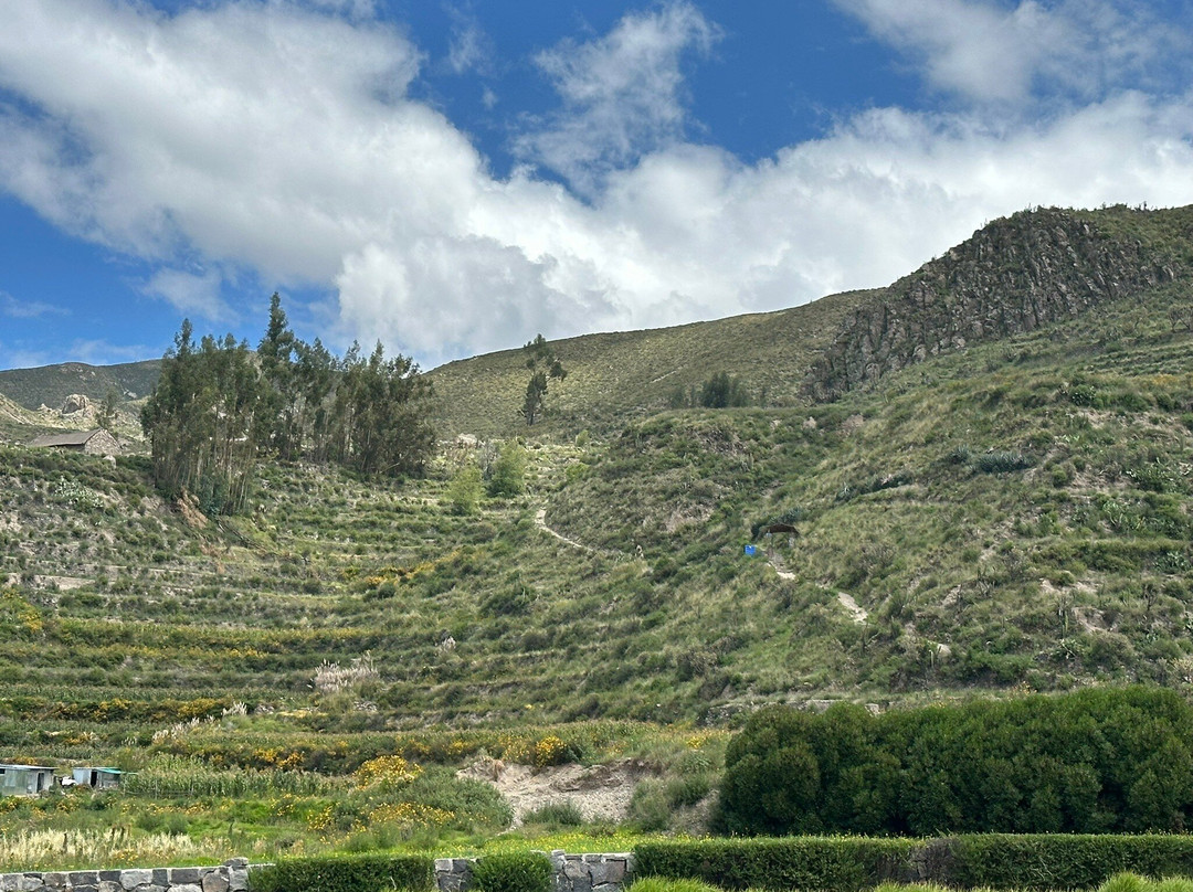 Uyo Uyo Archaeological Site-Yanque必去景点