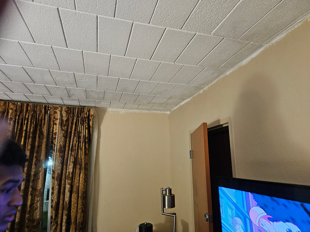 皮姆利科赛马场附近凯艺酒店主图