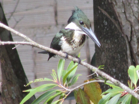 Jardim Botânico de Brasília-巴西利亚必去景点