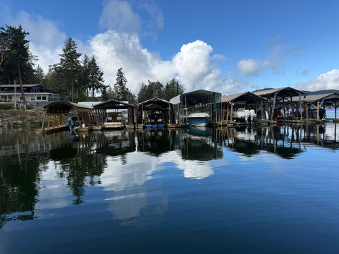 SloCat Harbour Tours-马德拉公园镇必去景点