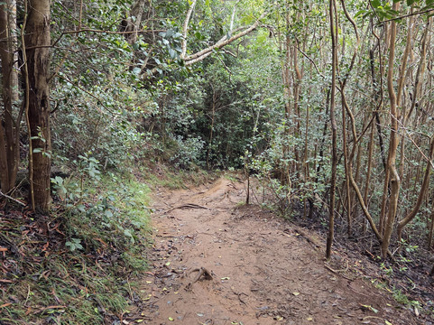 峡谷小道-威美亚必去景点