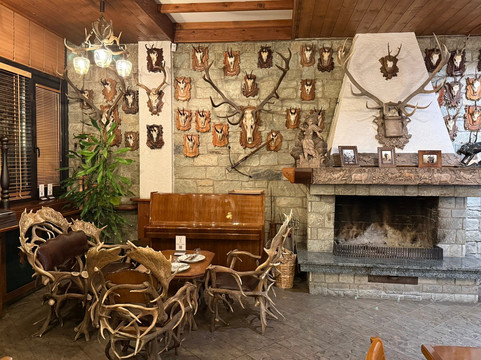 Chateau Kamnik-斯科普里必去景点