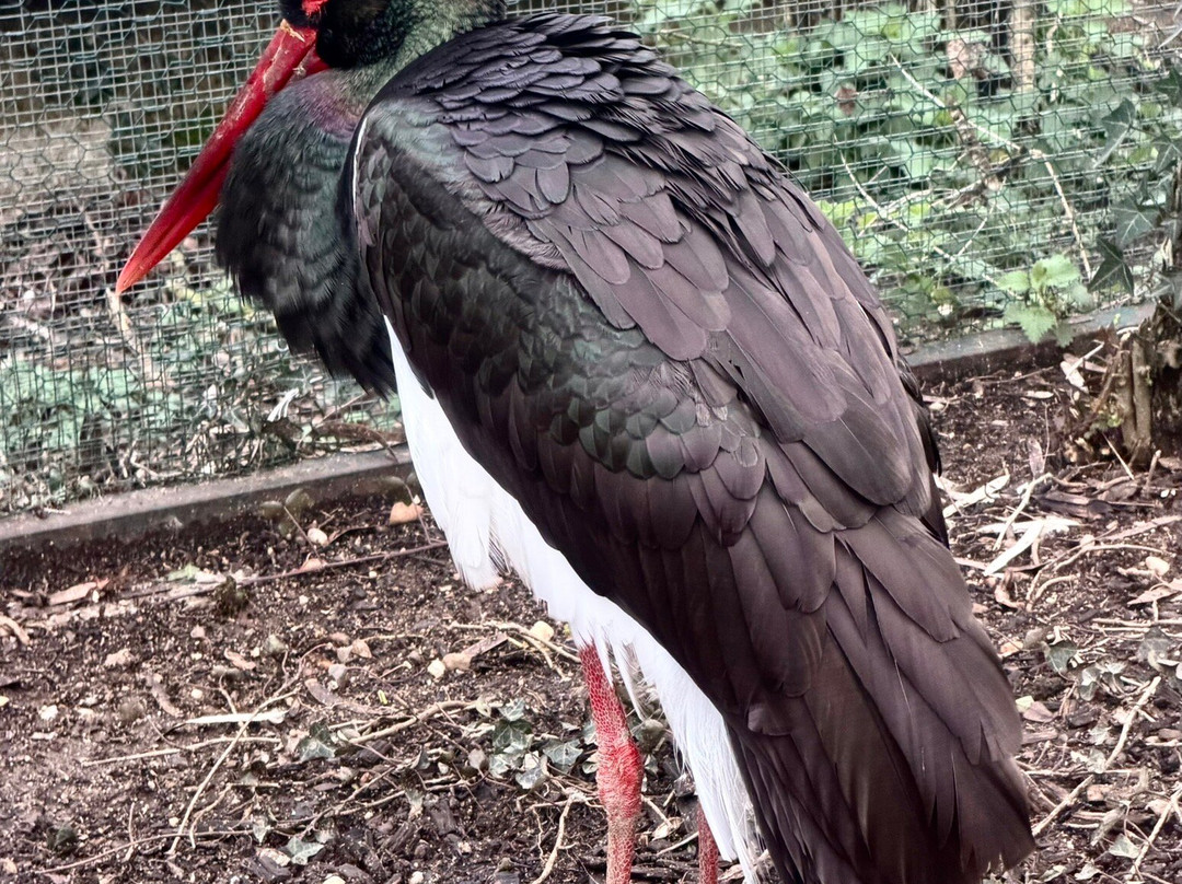 Le Refuge de l'Arche-Chateau-Gontier必去景点