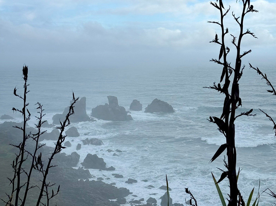 开普福尔温德角步道-韦斯特波特必去景点