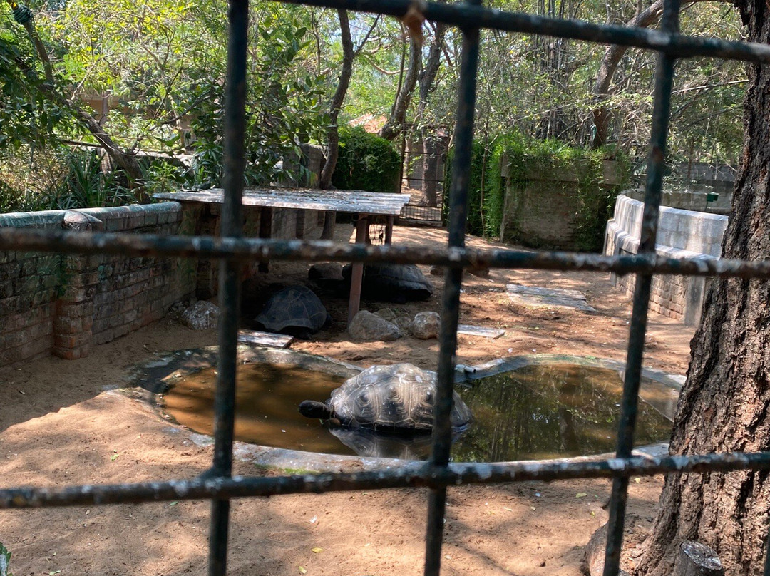 The Madras Crocodile Bank Trust and Centre for Herpetology-玛玛拉普蓝必去景点
