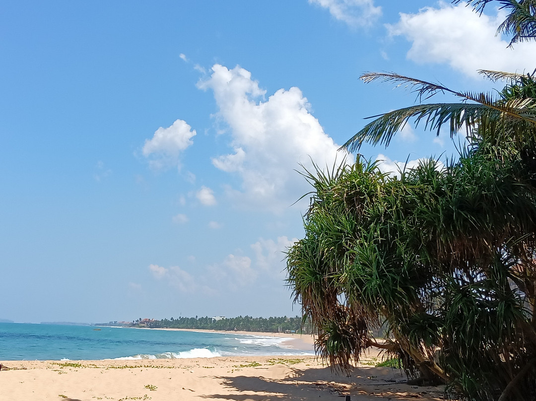 Sri Lankan Safest Driver-Padukka必去景点