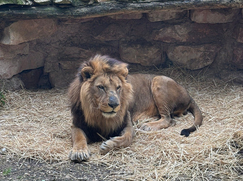 Parco Zoo Falconara-Falconara Marittima必去景点