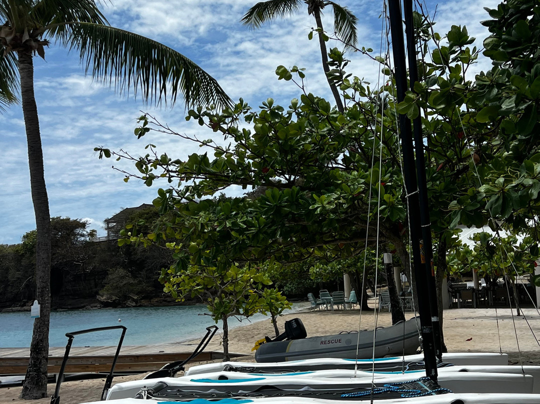 Scuba West Indies - Grenada-St. George's必去景点