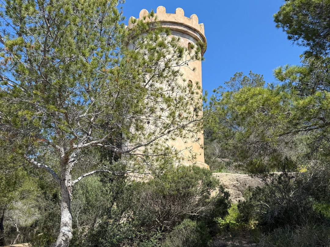 Wander Jürgen Mallorca-帕格拉必去景点