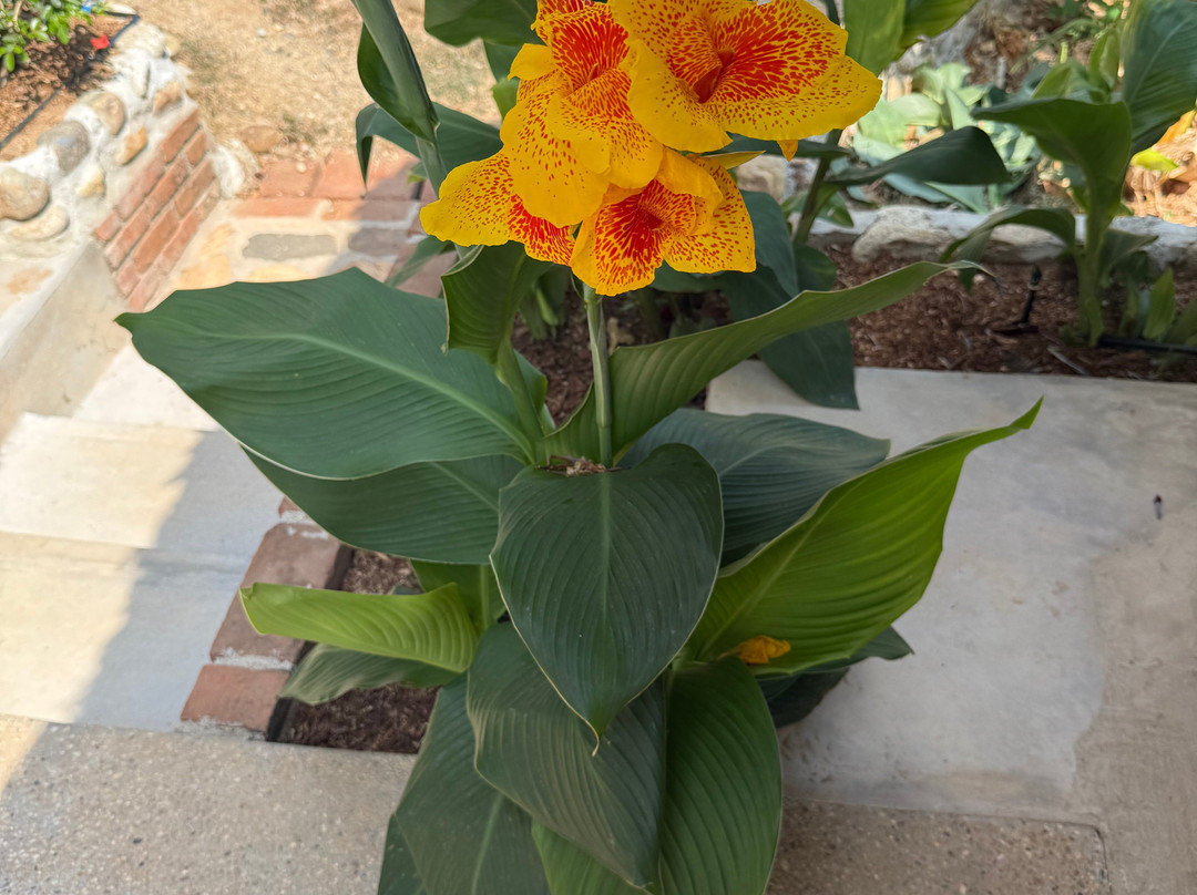 Sweet Retreats Casa Chango-埃斯孔迪多港必去景点