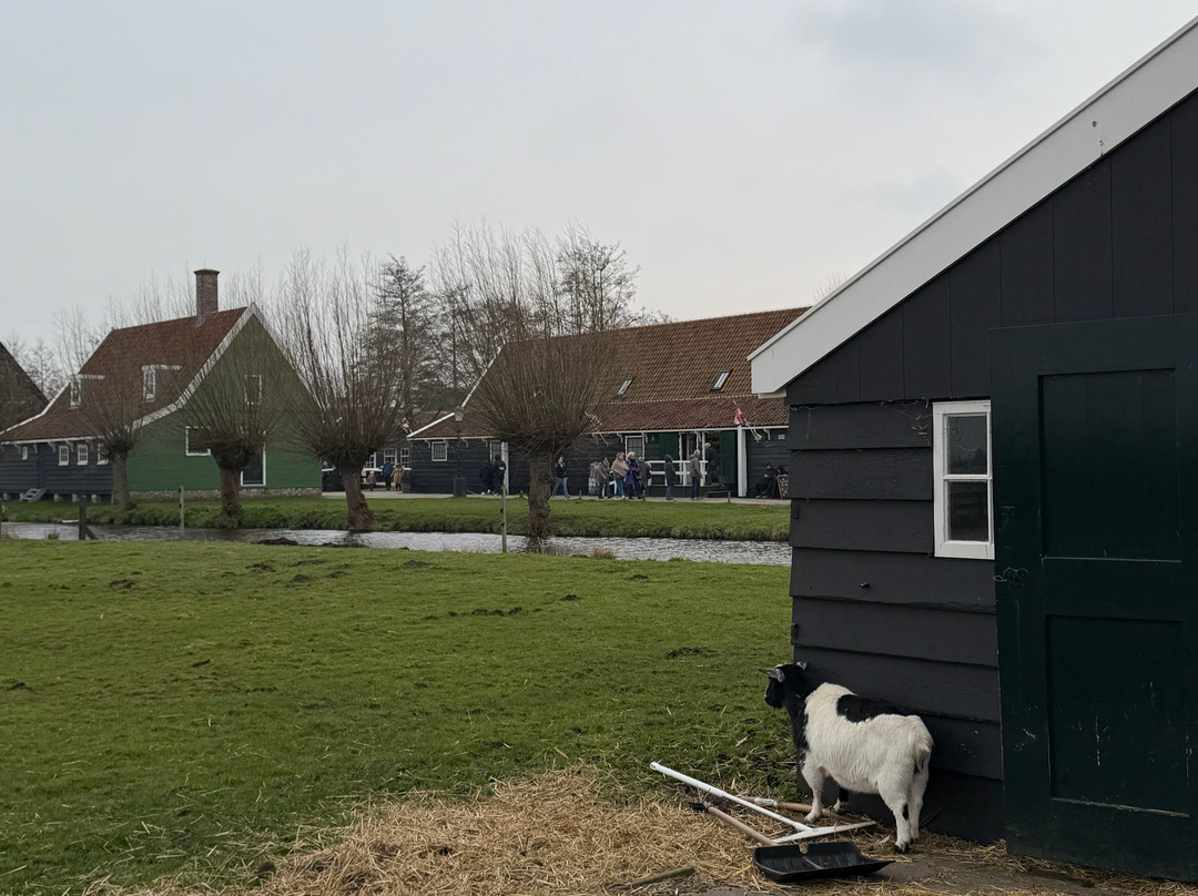 Cherry Travel & Tours-阿姆斯特丹必去景点