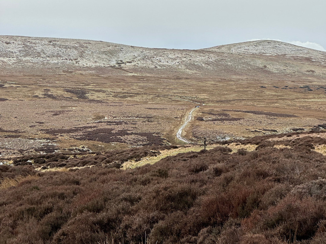 The Tartan Bicycle Company-爱丁堡必去景点