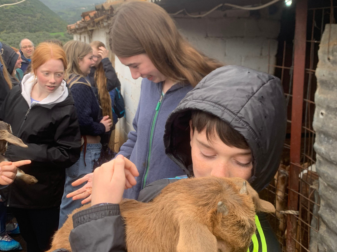 Sofie's Goat Farm-Argos必去景点