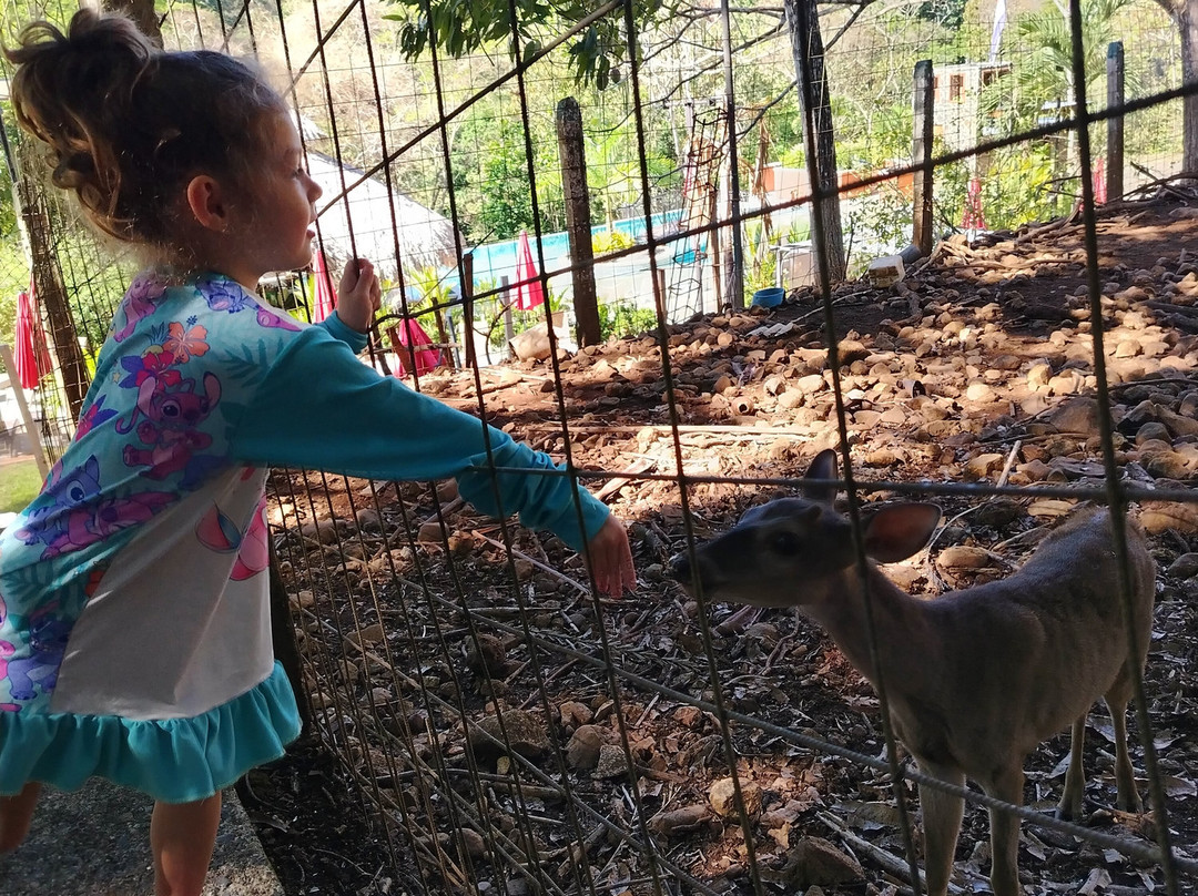 波萨布兰卡旅馆主图