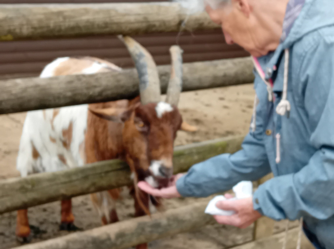 Filey Zoo-Filey必去景点