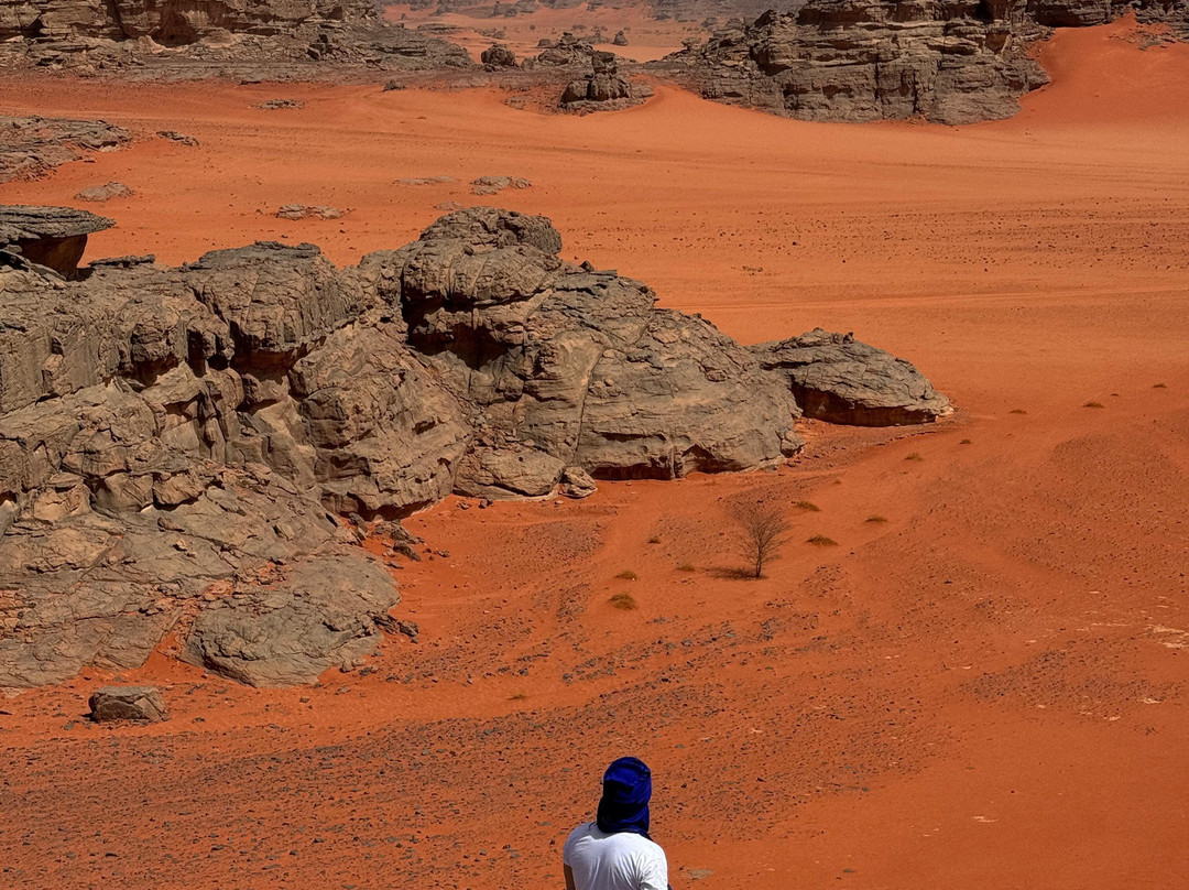 Algeria Tours16-阿尔及尔必去景点