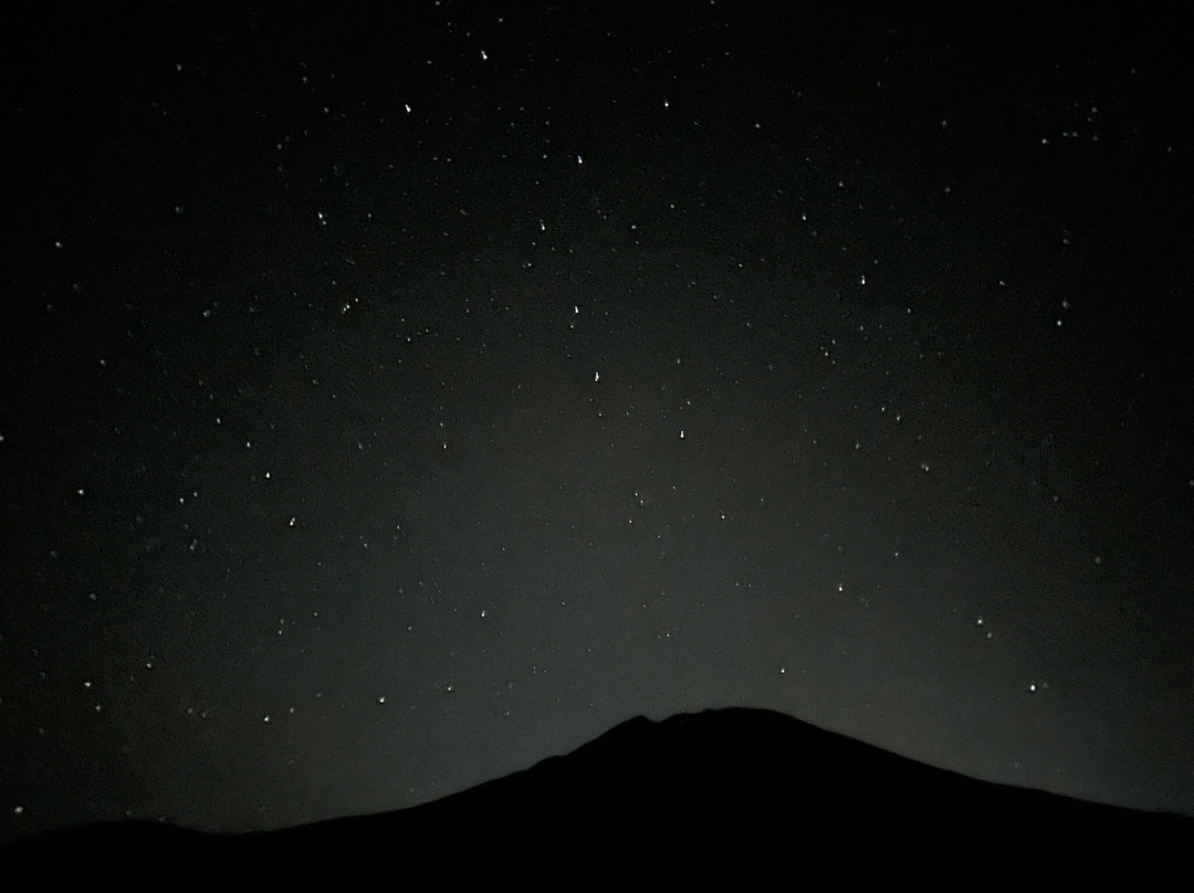 Discover Tenerife VIP Tours-圣克鲁斯-德特内里费必去景点