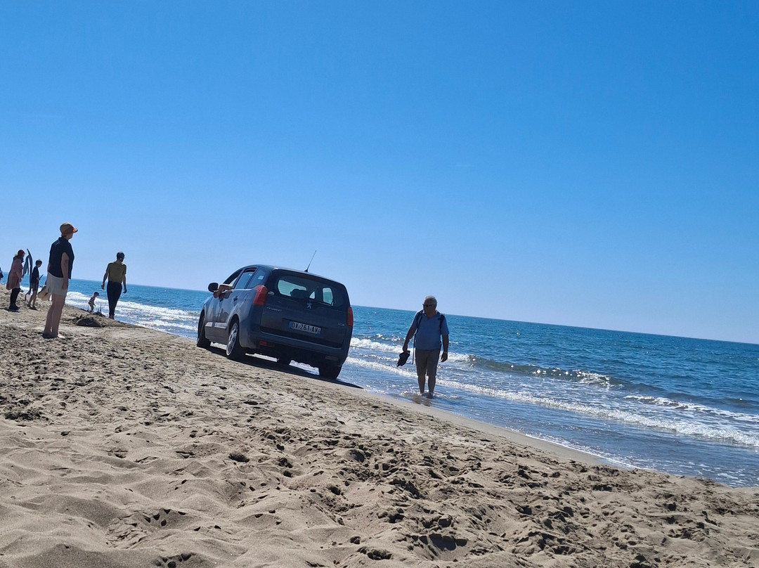 Plage de l’Espiguette-勒格罗迪鲁瓦必去景点