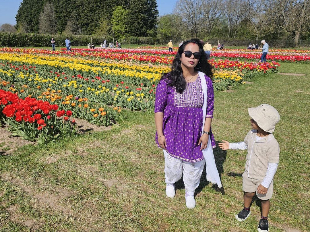 Tulleys Tulip Garden - Warwickshire-沃里克必去景点