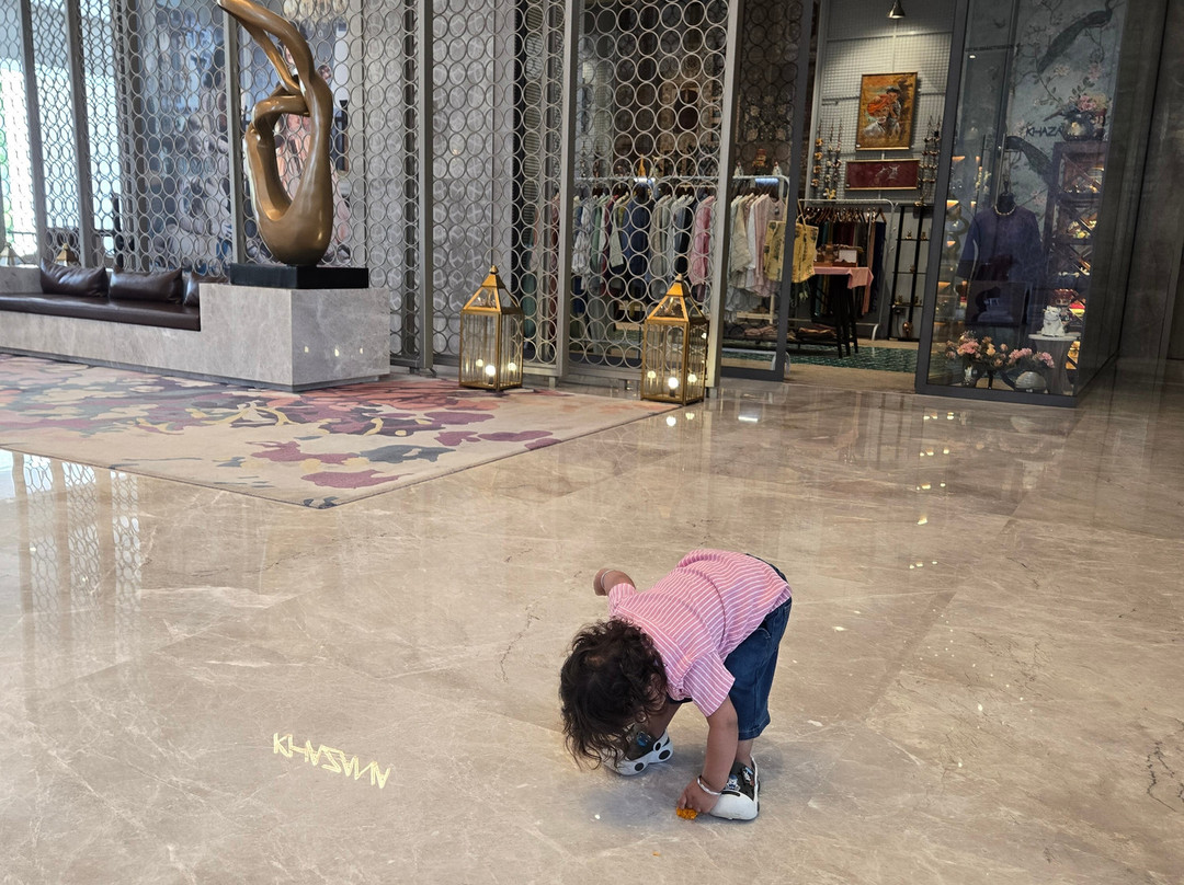 贾浦尔的泰姬阿默主图